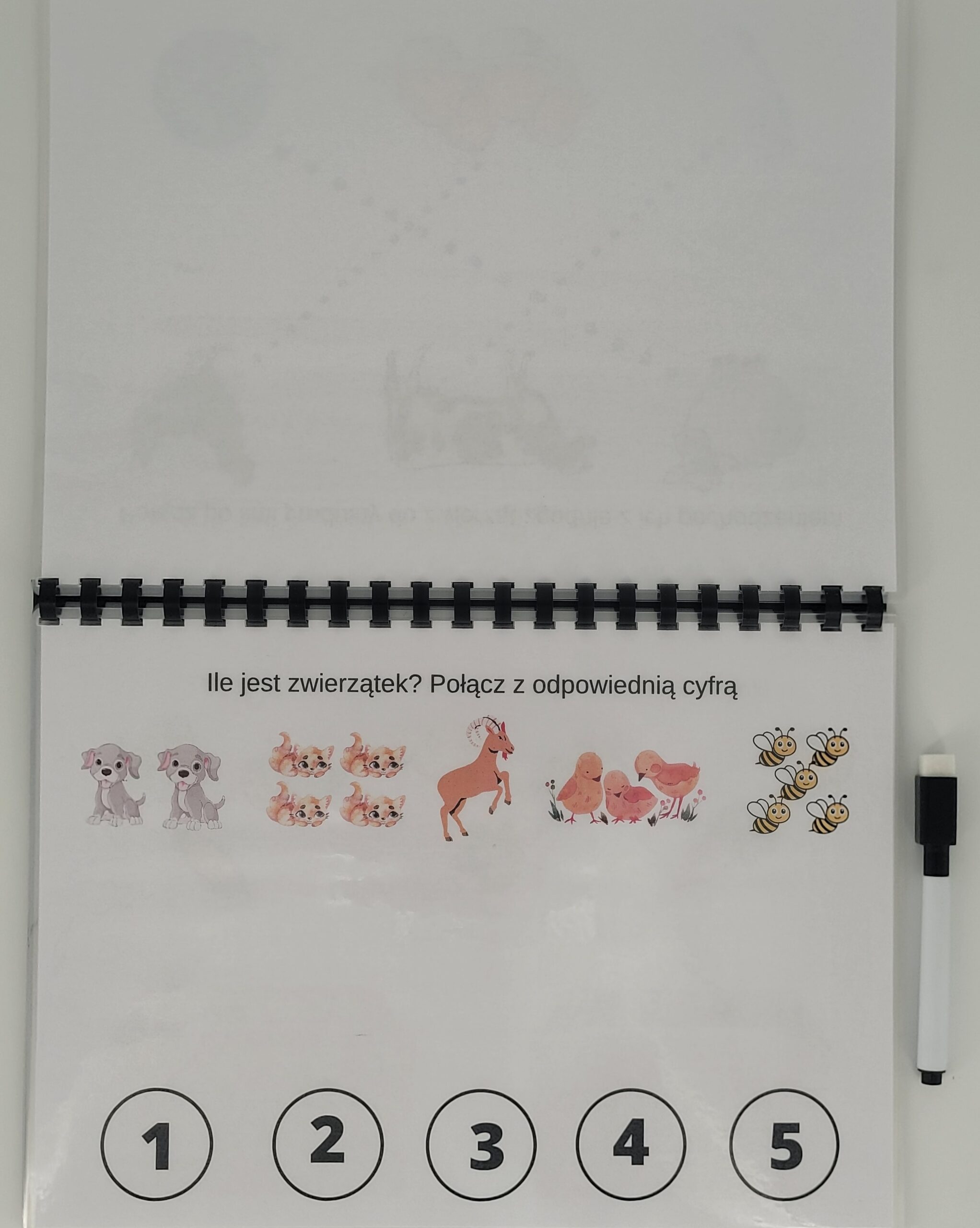 Książeczka aktywizująca "Moja Farma" - obrazek 6